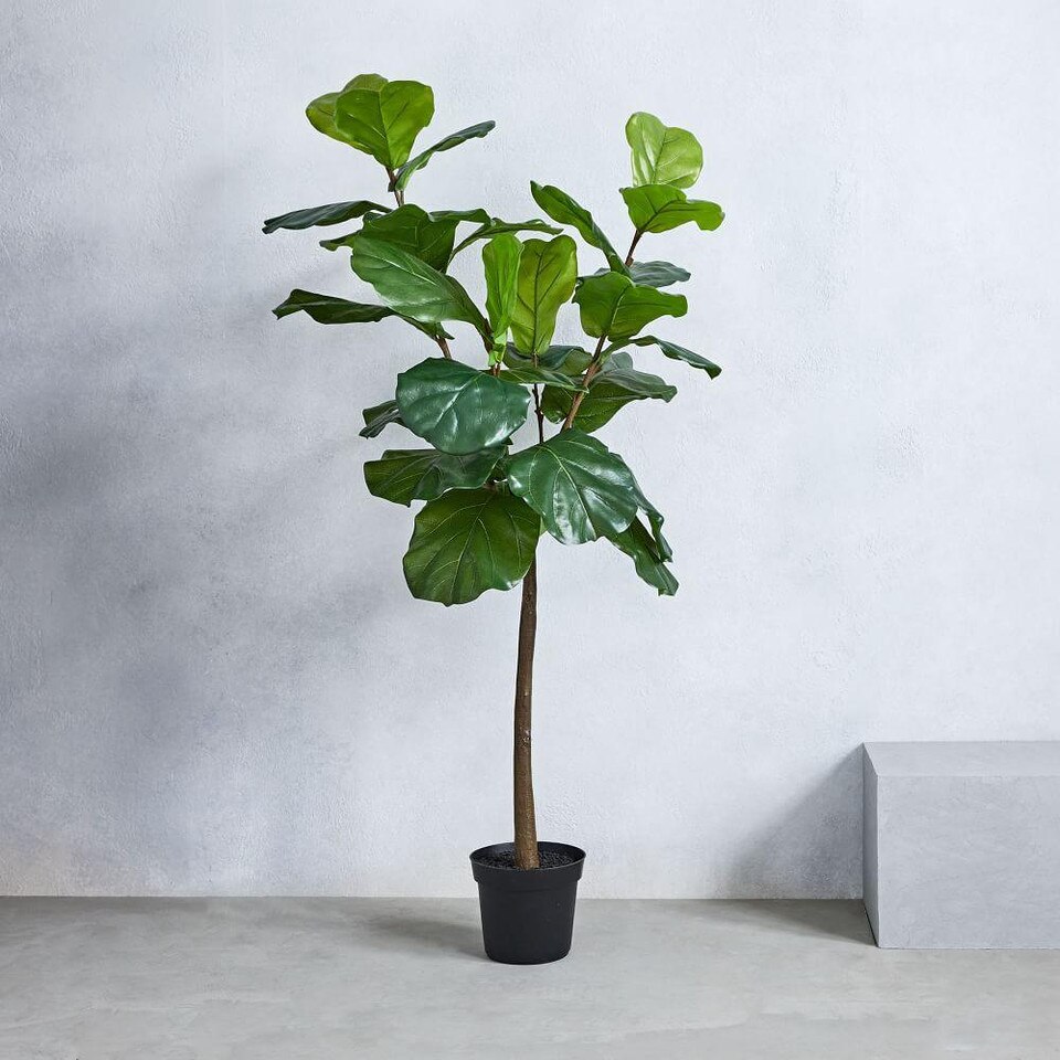 Faux Fiddle Leaf Fig Plant West Elm UK